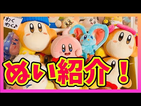 [Kirby of the Stars Goods] Plush Toy Collection Sanei Boeki Edition