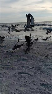 Bobby Smith on Reels