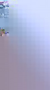 64K views · 1K reactions | Machu Picchu en Temporada de Lluvias. © | Picchu Travel | Facebook