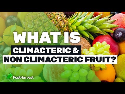 What is Climacteric & Non-Climacteric Fruit?
