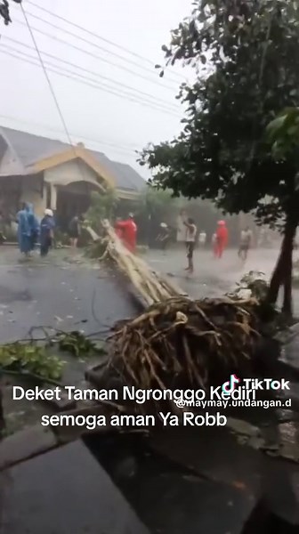 Wisata Taman Ngronggo di Kediri: Keindahan Alam