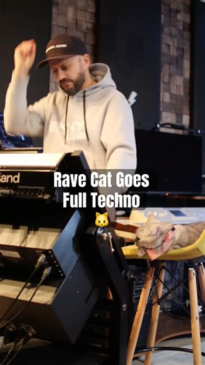 Rave Cat Goes Full Techno 🐱 #technomusic