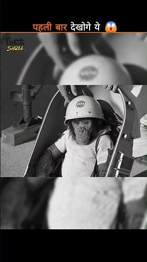 These Animals Went to Space and Came Back #space #animals