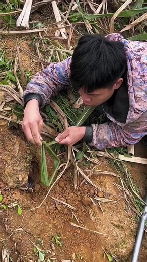 #Film #Movie #Cinema #FilmScene #MovieScene #FilmLover #MovieLover #FilmTime #MovieVibes