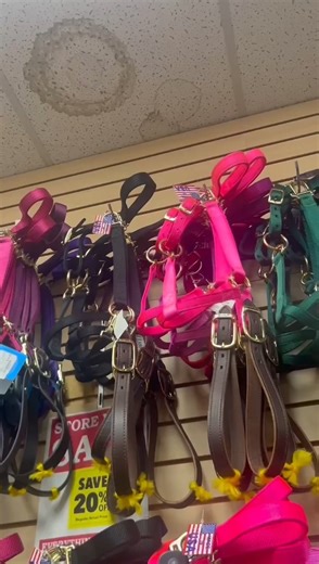 💗 Saddle up, it’s a Pink Pony Club kind of day 💗 From pink crops to rose colored breeches and shirts, we’re living our pinkest dreams — and yes, your pony totally approves. 🎶 Hit play, turn it up, and join the club! #PinkPonyClub #AllPinkEverything #BarnChic #EquestrianStyle #SaddlersRow | Saddlers Row