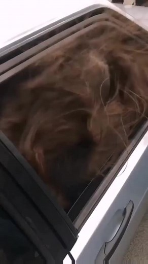 Captivating Close-Up of Hair in Windy Car Scene