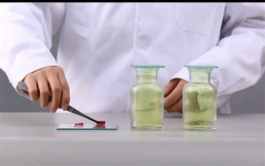 2019版高中化学必修一实验视频.氯水具有漂白性