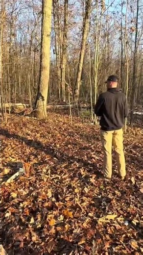 The start of Timber stand improvement on a small parcel #timberwork #hunting #deerhunting #archery