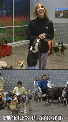 Exploring the extraordinary spots at Redmond Town Center is surely a day well spent. With countless options to choose from, what's your plan?! . . . #RedmondTownCenter #DayOutPlan #RTC #RedmondWA #UniquePlaces #ExploreRedmond | Redmond Town Center