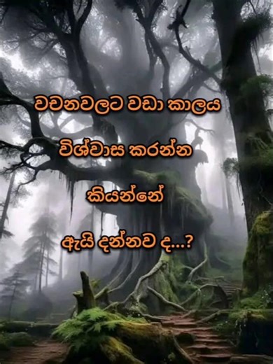 කාලය⏳ #trending #foryou #shorts #wadan