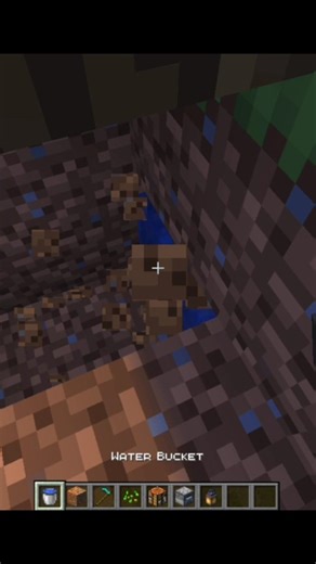 Smallest House 🏠💀 In Minecraft!