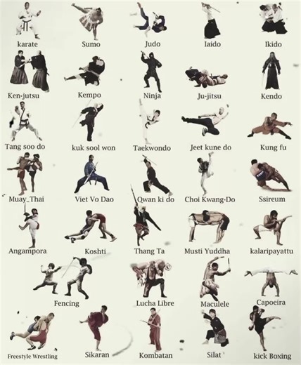 Professional Martial Arts Fight Compilation