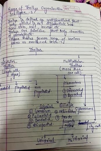 Range of Thallus Organisation in Algae with Handwritten notes #educationalvideos #phycology #viral