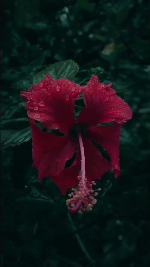 We Can Never Have Enough of Nature