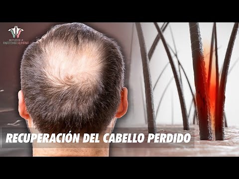 La ciencia de la caída de PELO: ¿Cómo solucionarla?
