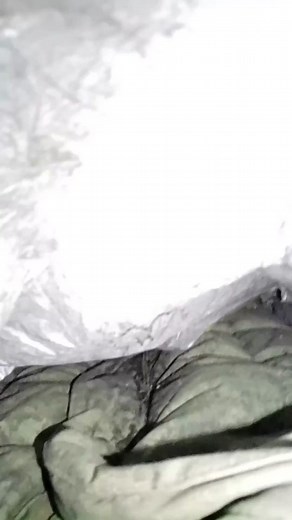 Indiana Train Hopping Adventure in Snowy Weather