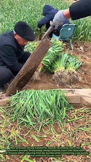 Next Level Harvest Hack Changing Farm Speed Forever