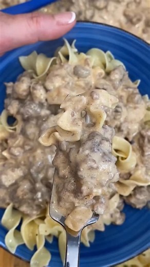 Beef Stroganoff made with canned condensed cream of mushroom soup is a simple, quick, and delicious short cut for busy nights. Comment “save” for the recipe or you can find it on my website, theCOOKFUL.com. #dinnertonight #easyrecipe #beefstroganoffwithmushroomsoup #easybeefstroganoff #stroganoff https://thecookful.com/beef-stroganoff-mushroom-soup/ | Cook the Story