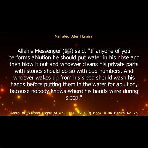 Sahih Al-Bukhari I Book of Ablution I Hadith 28 I English Translation
