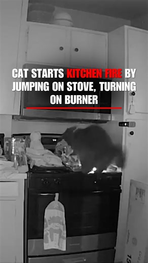 'CAT'ASTROPHE: A cat started a kitchen fire by jumping onto a stove and turning on a burner, causing significant damage to the ceiling, door and other appliances. | Fox News