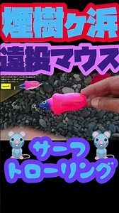 遠投マウスと弓角で青物狙い！だいたいメタルジグはこうなる 煙樹ヶ浜編 #shorts