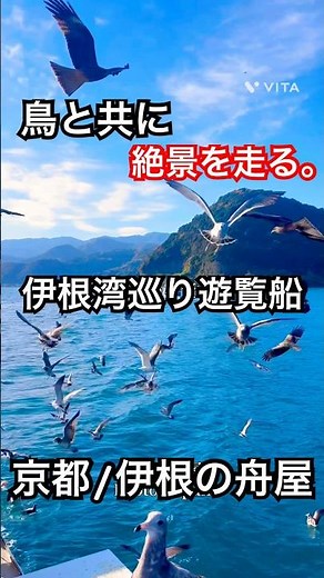【京都】海に家が並ぶ町へ｜伊根湾めぐり遊覧船と伊根の舟屋 #京都観光 #京都旅行 #伊根の舟屋 #絶景スポット
