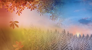 Les saisons et les mois – France Podcasts