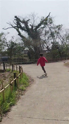 これが子どもの体力…5歳児の爆走が止まらない休日 #休日の過ごし方 #おでかけvlog