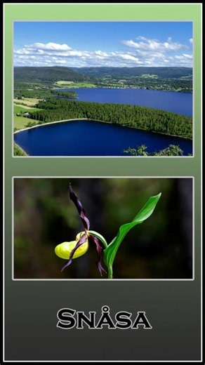 Snåsa - Digital Postcard #shorts #trøndelag