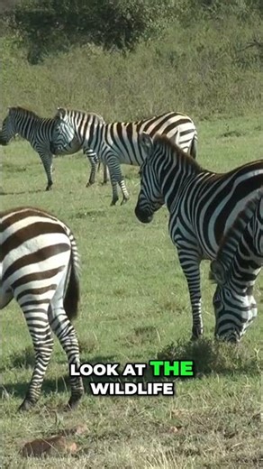 Elephant Engineers: Unlocking Africa's Hidden Water Secrets #shorts