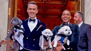 Don Lemon Marries Tim Malone in Star-Studded NYC Wedding