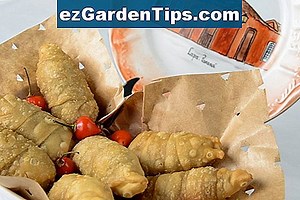 Plantas mais importantes cultivadas no Egito Antigo 🌱 Dicas Jardineiros - Pt.ezGardenTips.com