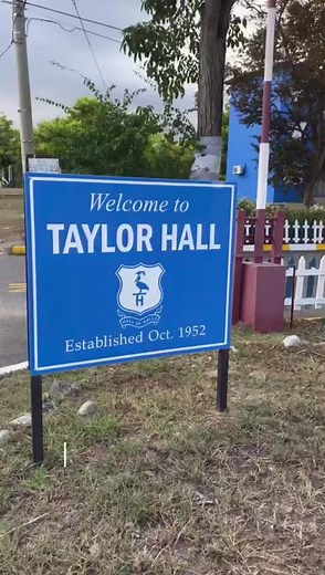 Just a little video to video your time until Move-in day😏 1 Week to go🔥🔥 #taylorhall #uwi #uwimona #campuslife #fyp #fypシ #fypシ゚viral #orientation #jamaicantiktok🇯🇲viral #vibes #hallofhalls #blueandwhiteisalwaysright