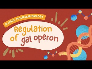 SIJ2005 MOLECULAR BIOLOGY - REGULATION OF GAL OPERON