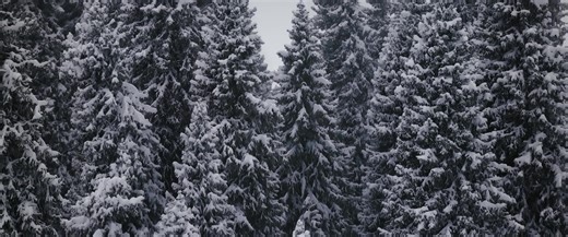 Introducing Hypershell X - The World‘s First Multi-Scenario Outdoor Exoskeleton. Experience freedom like never before with the revolutionary Hypershell X! 🌍 Engineered to push the boundaries of human potential, this ultra-light exoskeleton is your ultimate companion for adventure.#Hypershell #HypershellAdventure #newtechnology #exoskeleton #globalsale