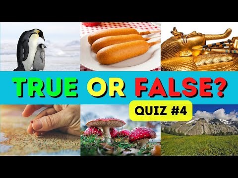 True or False General Knowledge Quiz #4 - Questions and Answers - Trivia Questions - 35 Questions