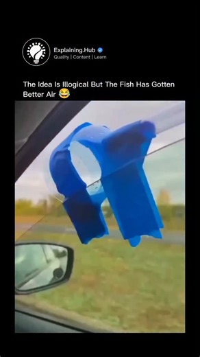 Explaining Everything on Instagram: "A large plastic container filled with water and live catfish is placed inside the car. To keep the fish alive during transport, the driver uses a simple but clever trick: a blue tube is submerged in the water, with the other end taped outside an open window. As the car moves, air rushes through the tube and creates continuous bubbles, naturally aerating the water and supplying oxygen to the fish. No pump, no electricity — just airflow and basic physics. It’s 