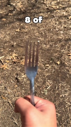 Day 8 Help me out Pls :) #day8 #fyp #viral #secretbunker #fork | fork