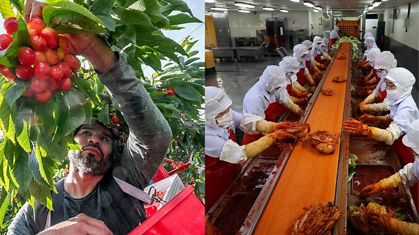 Amazing Workers Delivering Satisfying Work with Creative Skills