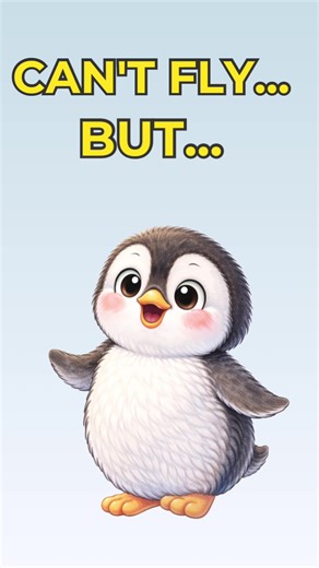 Penguins can fly or not? 🐧#didyouknow #penguin #viral #cute #new
