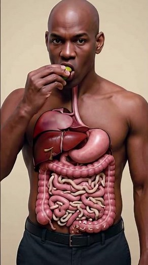 Inside the Human Body - Science in Motion#humanbody #3danimation #digestivesystem