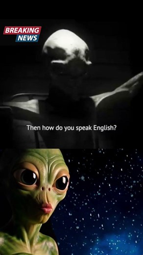 Project Blue Book👀 #uap #alien #memes