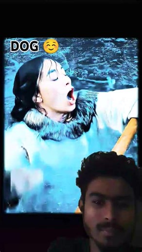 Insan se wafadar Janwar Hote Hain #viral shirt video