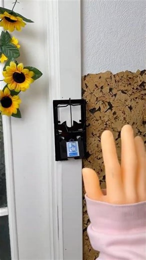 DO NOT TOUCH THIS DOORBELL! 💀