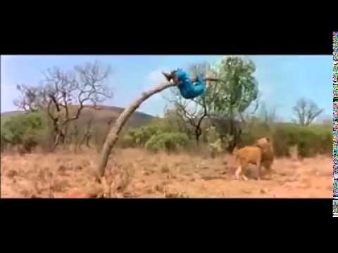 Les dieux sont tombés sur la tête