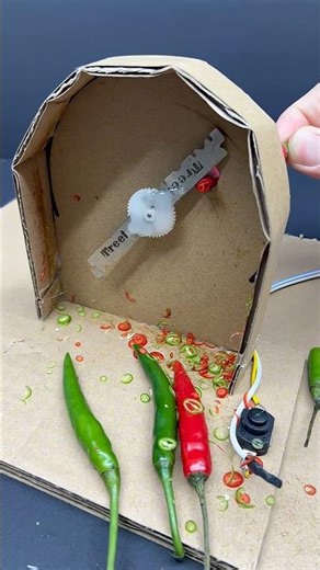 Amazing Chilli Cutting Machine | Simple Homemade Chilli Cutter Experiment#shorts#experiment #science