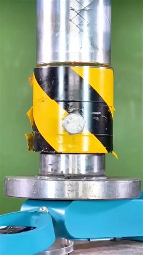 My Roommate's WILD Cat Experiment! 😂 이해했어, Chairman? 🐾