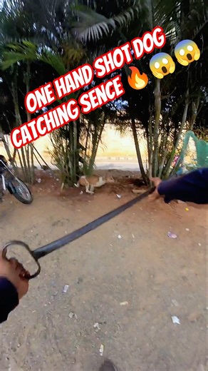 Dog Catcher In India Amazing#dog #amazing #india #streetdogrevival #ytviral