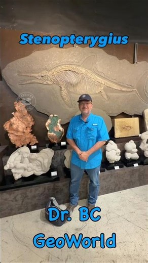 Stenopterygius: The Countershaded “Fish Lizard” 🐟🦎#Ichthyosaur #Fossils