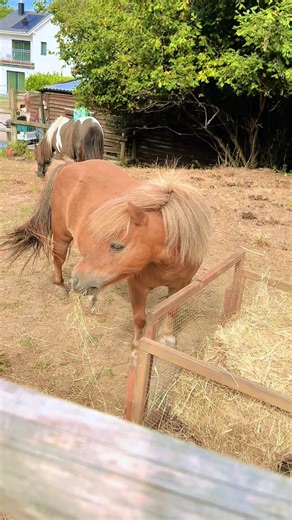 Bethany Barnard on TikTok
